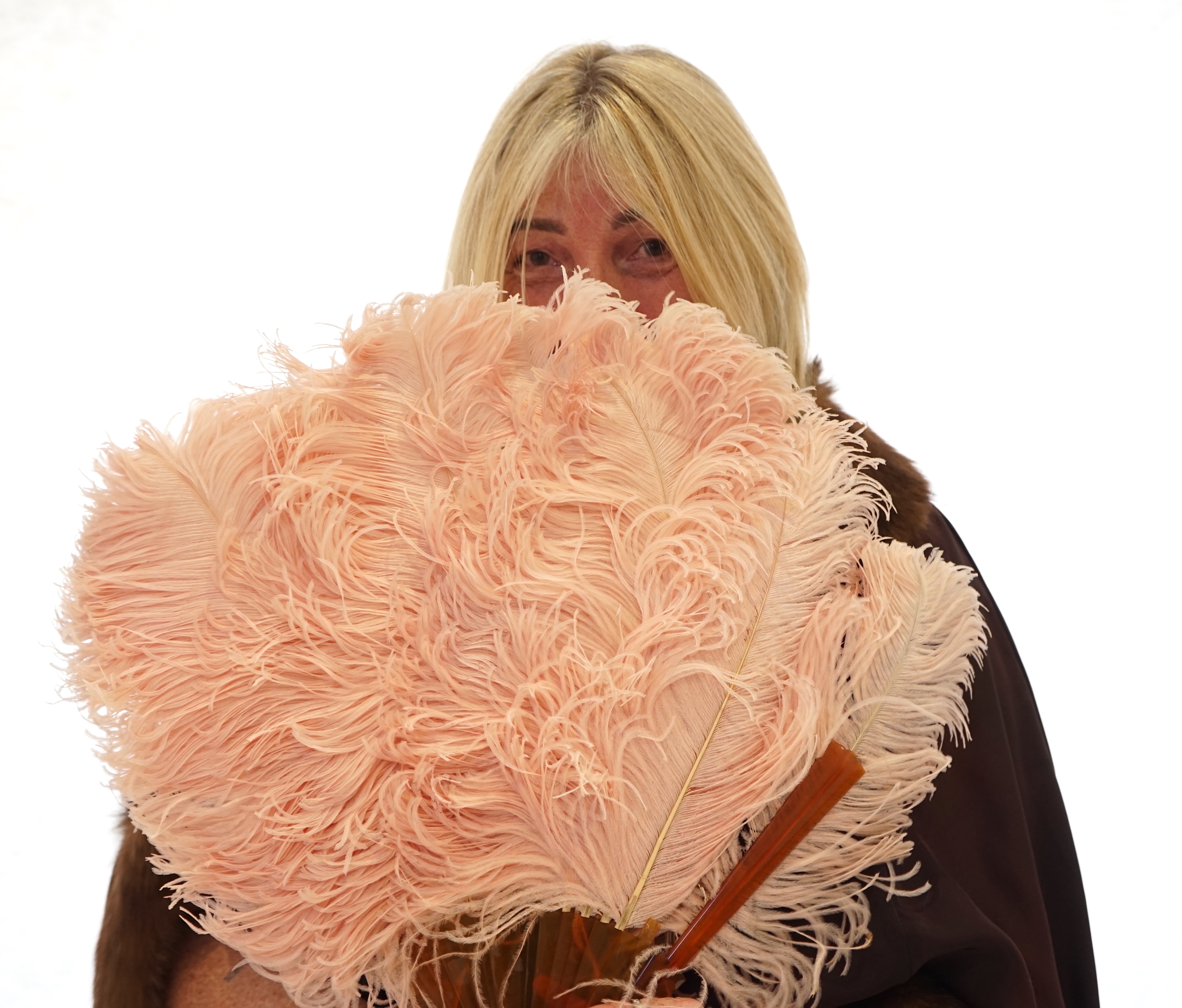 A selection of feathers, including head dress and veil for presentation at Court (in period box).